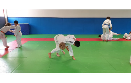 Stage de Judo réussi !