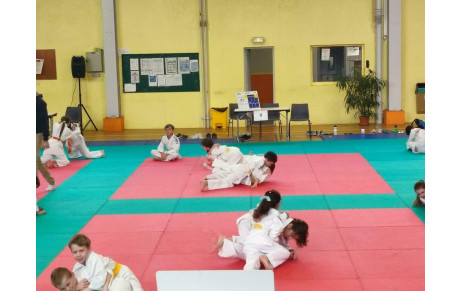 Tournoi de Châtillon - Poussins