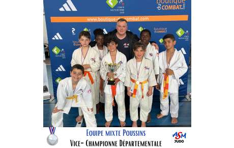 Equipe mixte Poussins Vice-championne départementale !
